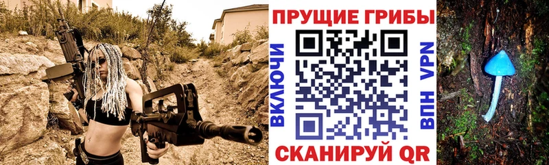 shop наркотические препараты  Артёмовский  Галлюциногенные грибы Cubensis 